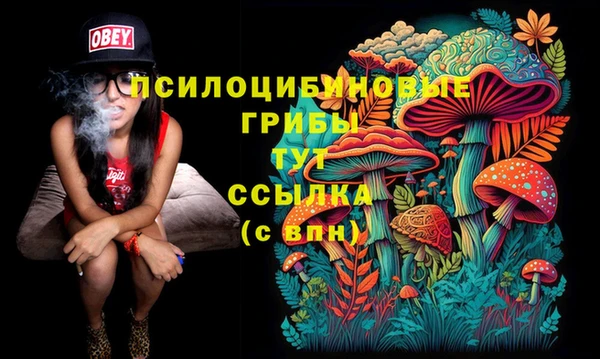 синтетический гашиш Кинешма