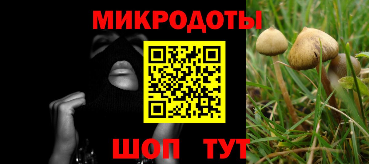 Сертолово  Псилоцибиновые грибы Magic Shrooms  Вход с VPN 